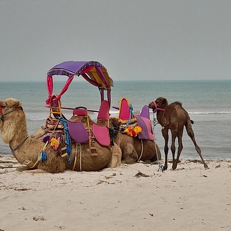 Dar El Kahina Djerba Hotel Mezraia Bagian luar foto