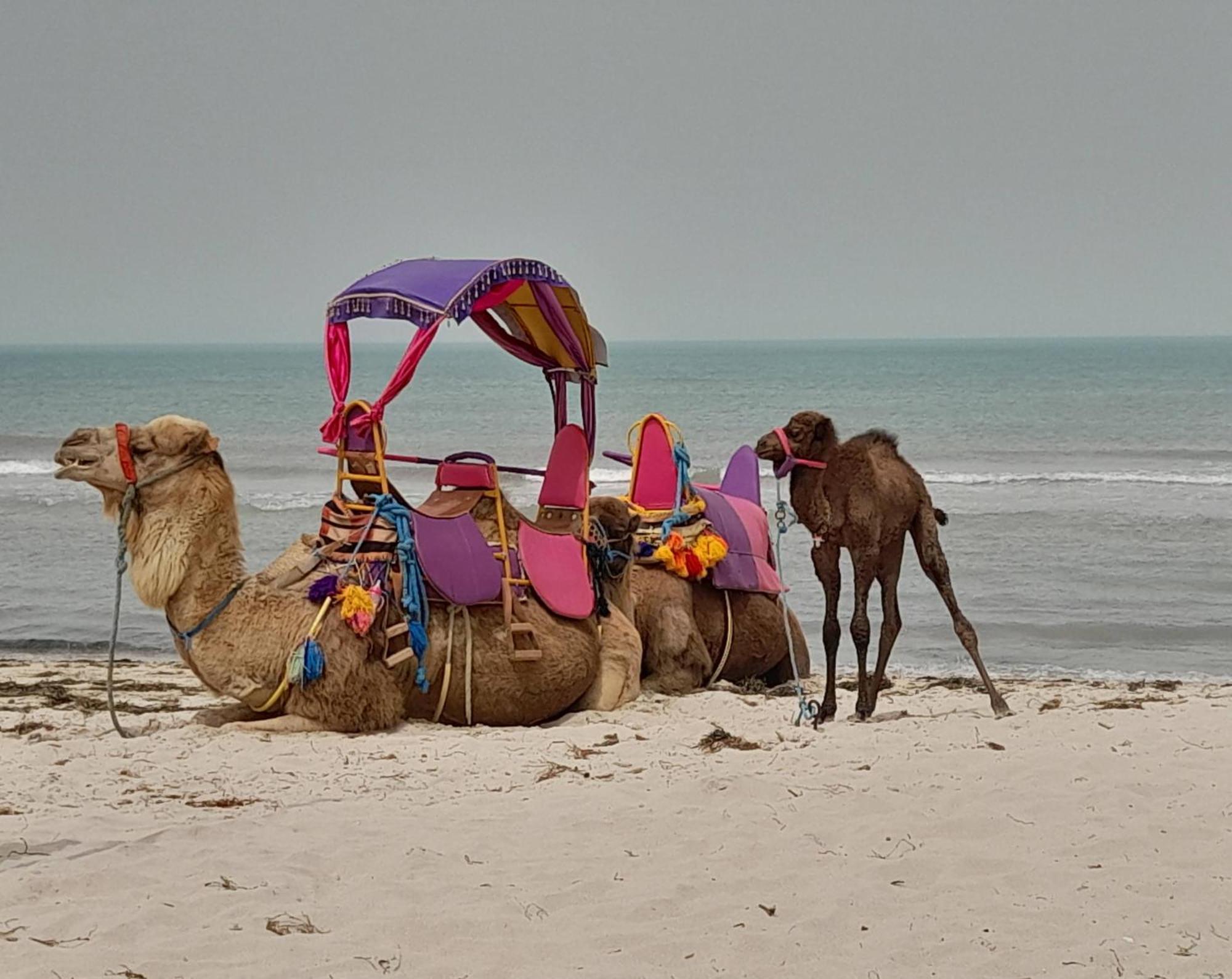 Dar El Kahina Djerba Hotel Mezraia Bagian luar foto